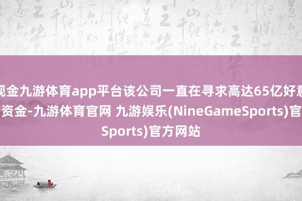 现金九游体育app平台该公司一直在寻求高达65亿好意思元的资金-九游体育官网 九游娱乐(NineGameSports)官方网站