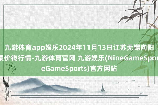 九游体育app娱乐2024年11月13日江苏无锡向阳农居品大市集价钱行情-九游体育官网 九游娱乐(NineGameSports)官方网站